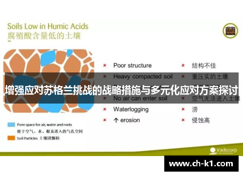 增强应对苏格兰挑战的战略措施与多元化应对方案探讨