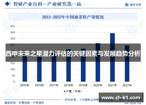 西甲未来之星潜力评估的关键因素与发展趋势分析