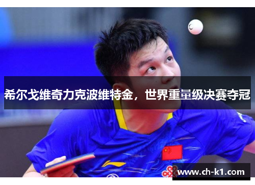 希尔戈维奇力克波维特金，世界重量级决赛夺冠
