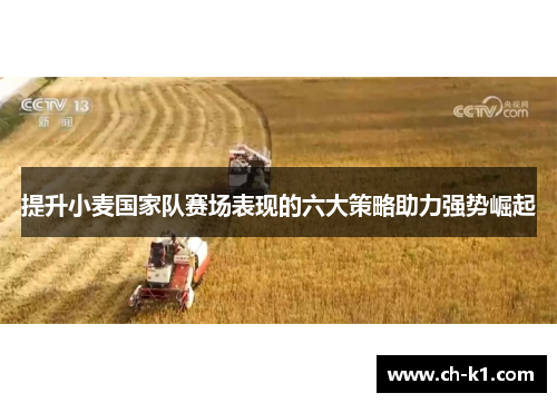 提升小麦国家队赛场表现的六大策略助力强势崛起 提升小麦国家队赛场表现的六大策略助力强势崛起
