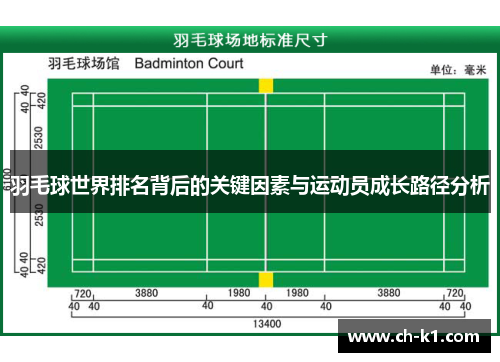 羽毛球世界排名背后的关键因素与运动员成长路径分析